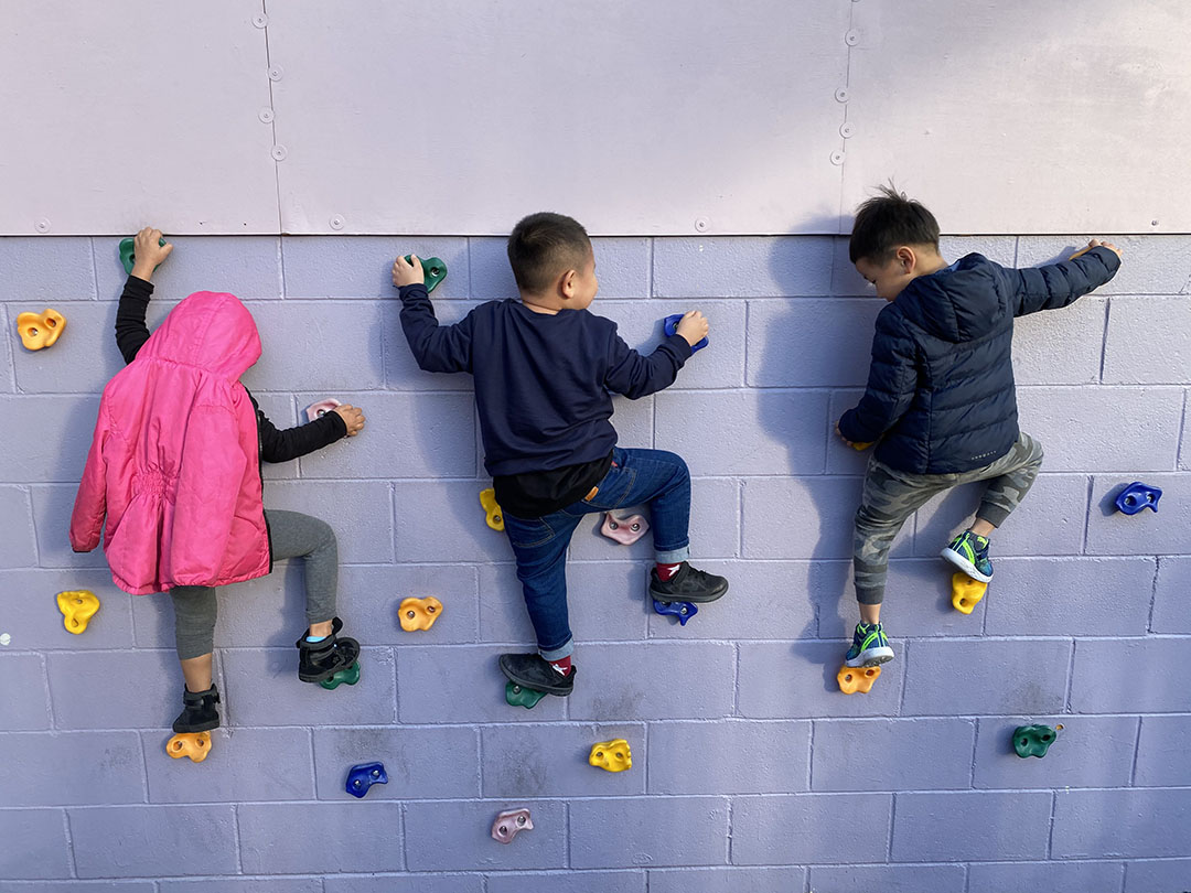 wall